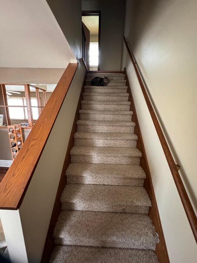 Building Photo - 1505 S Driscoll St