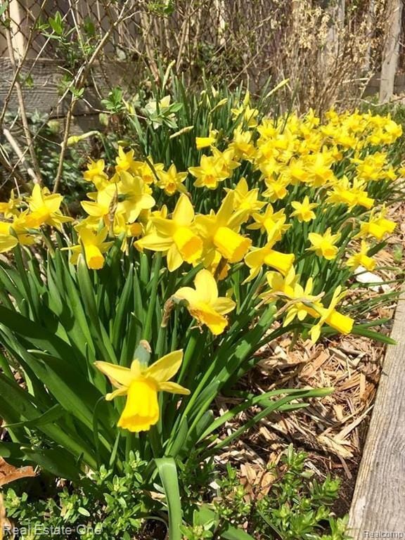 Building Photo - 5837 Folkstone Dr