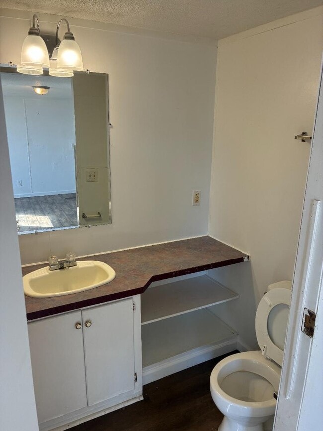 Building Photo - 2320 Wysteria Ln