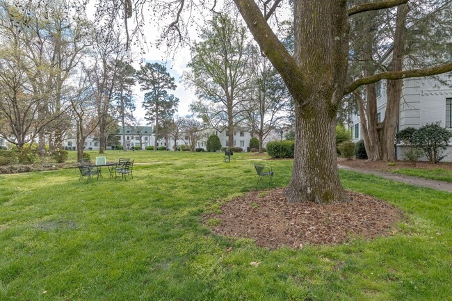 Building Photo - Beautiful 1 Bed 1 Bath near Moses Cone and...