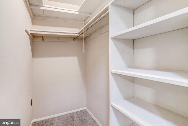 Building Photo - 12215 Braxfield Ct