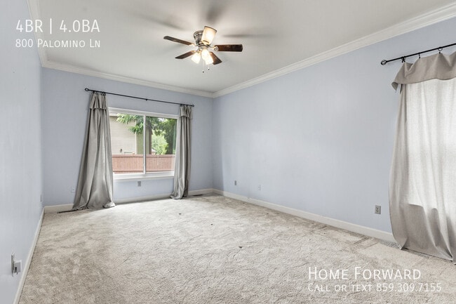 Building Photo - 800 Palomino Ln