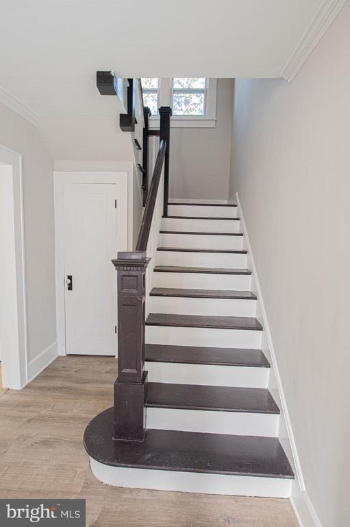 Building Photo - 417 Winder St