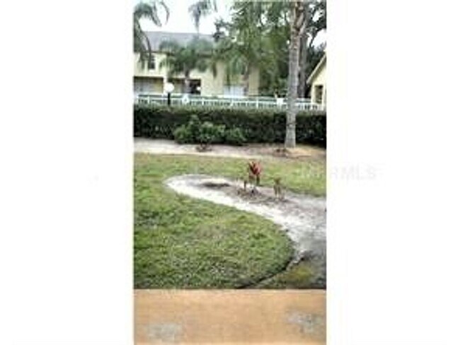 Building Photo - Beautiful Temple Terrace Townhome!