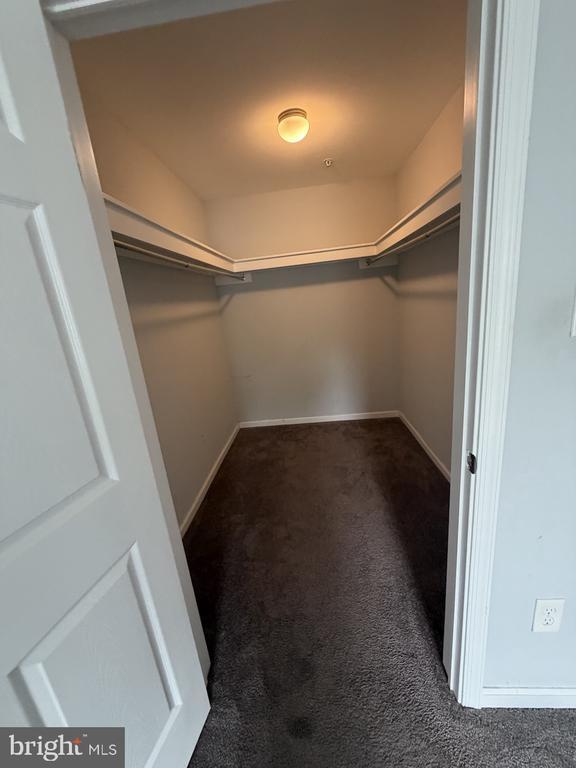 Building Photo - 2805A Auburn Ct