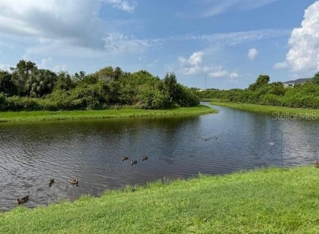 Building Photo - 8951 Turnstone Haven Pl