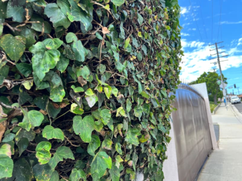 Building Photo - 1905 Elanita Dr