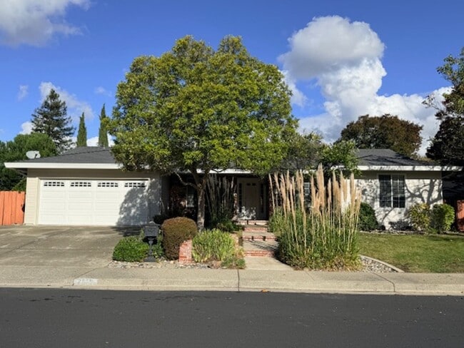 Building Photo - NEWLY RENOVATED- 4BD/2BA, Single-Family Home in Twin Creeks Area of San Ramon- Available NOW!