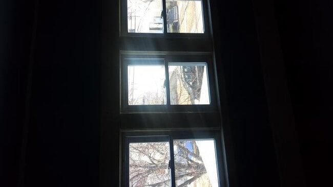 Building Photo - 503 E Utica St