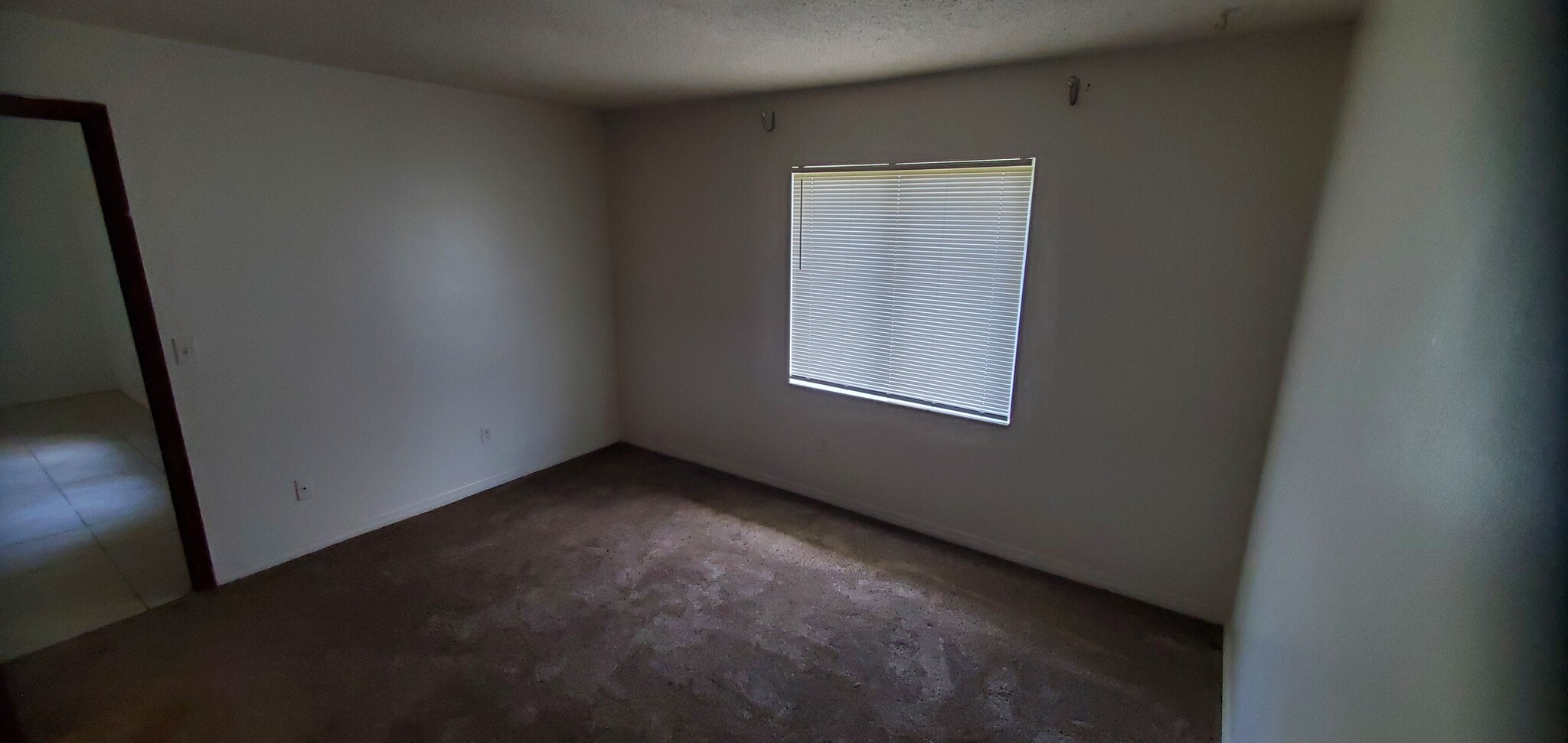 Building Photo - 1222 Tino Ct