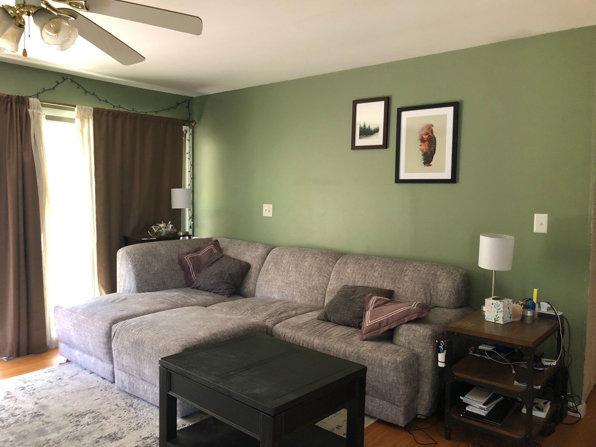 Living Room - 463 Lawnview Cir