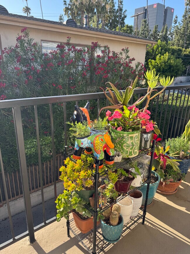 walkway - 6128 De Longpre Ave