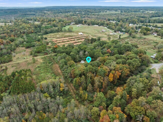 Building Photo - 3b/3ba RENTAL on 5.2 acres CULLMAN