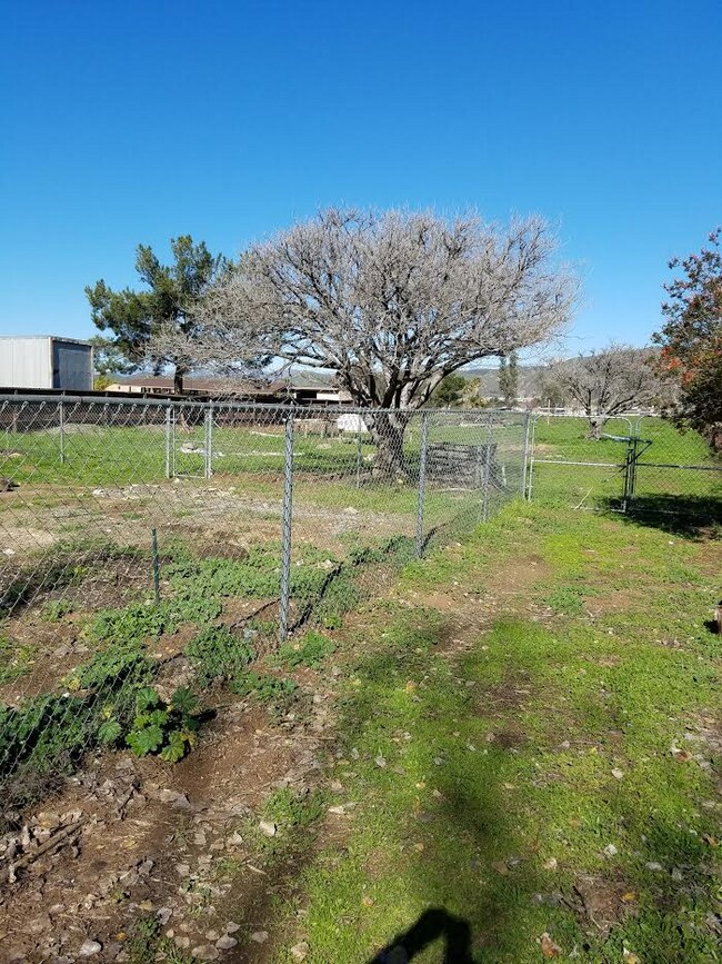 fenced back yard - 33634 Colorado St