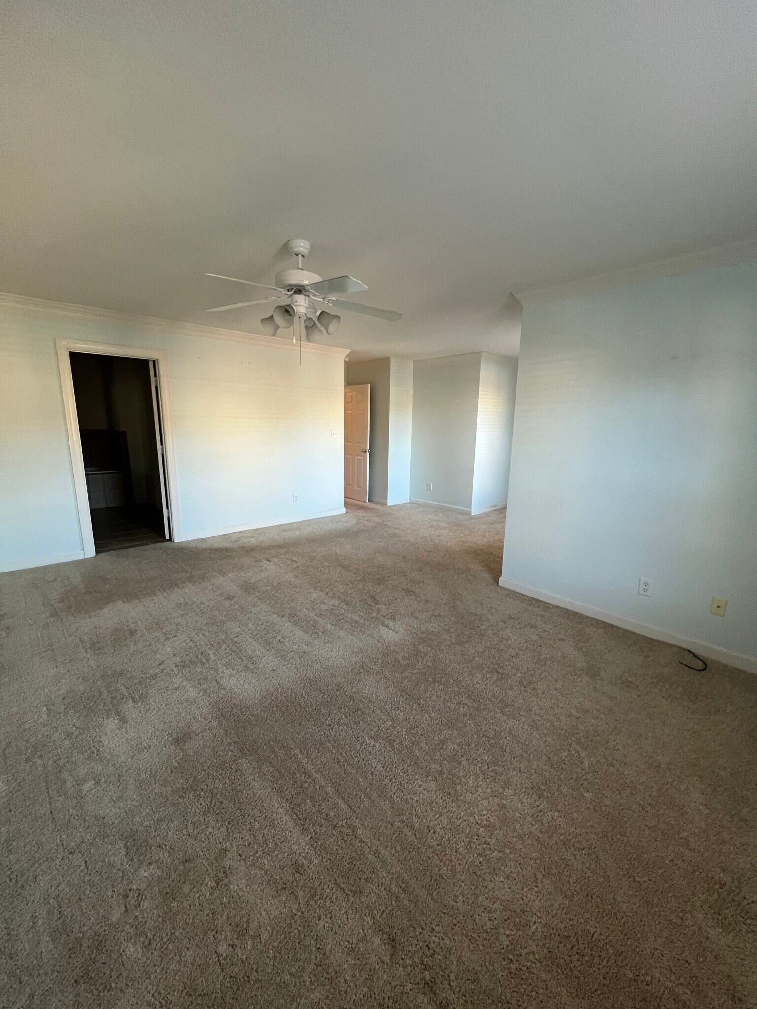 Primary Bedroom - 1315 Abelia Way