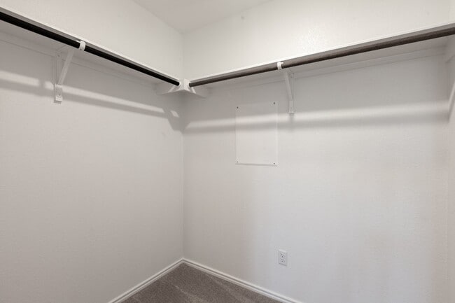 Building Photo - 3 Bedroom Plus Study and 3 car garage!