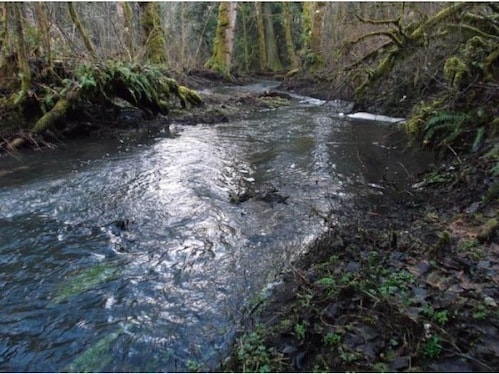 Building Photo - Country Living At Its Finest! Beautiful 3BD/2BA Home~Privacy, Storage, and Beautiful Scenery!