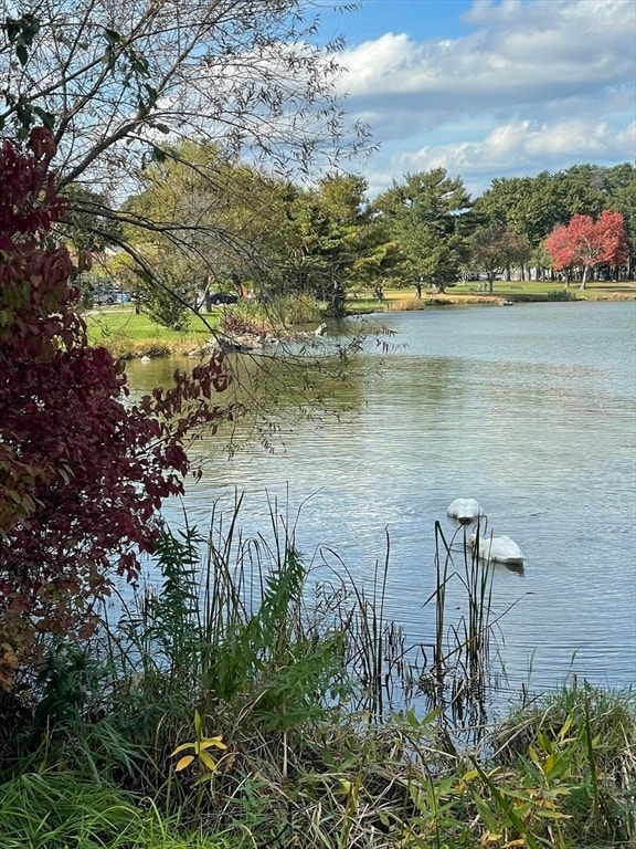 Building Photo - 276 Albion St