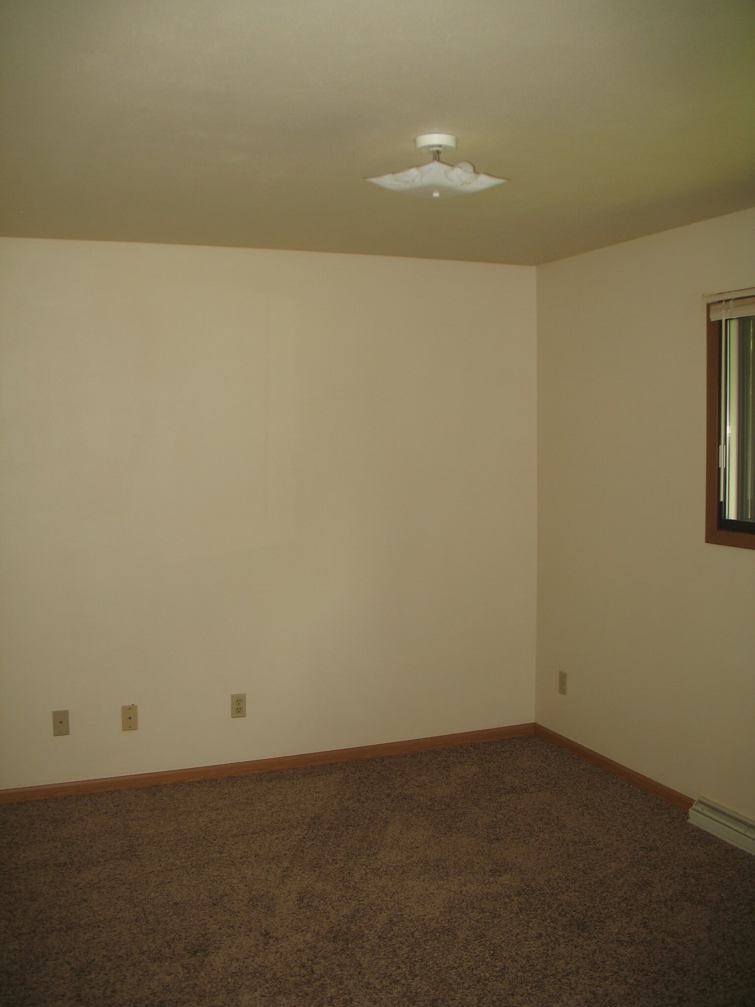 Building Photo - 1207 Mint Dr