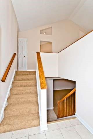 Building Photo - 221 Cottonwood Ln