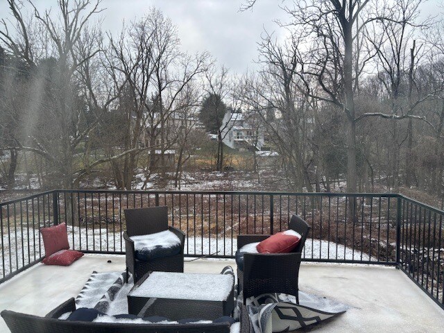 Balcony - 2972 Madison Ave