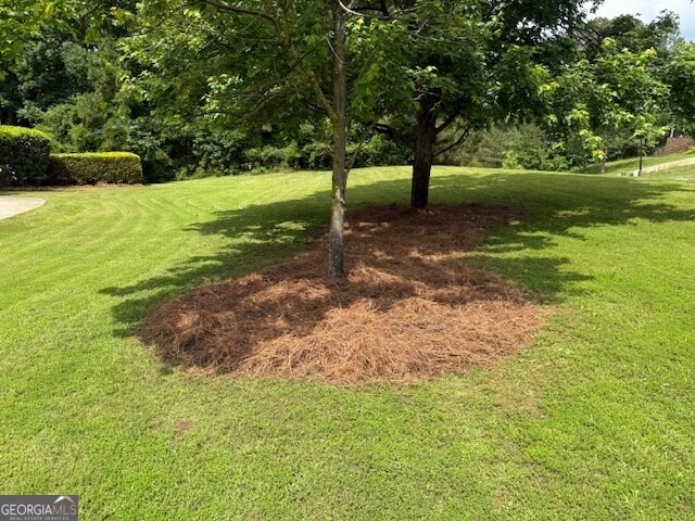 Building Photo - 7500 Capps Creek Ln