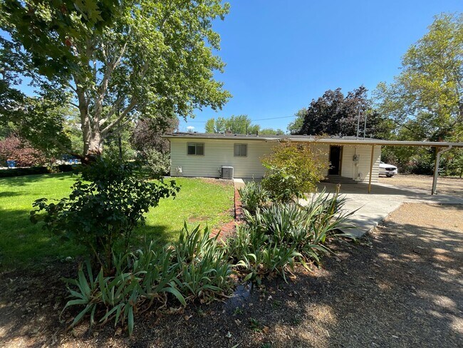 Building Photo - Cozy Mid-Century Modern on a Half Acre!