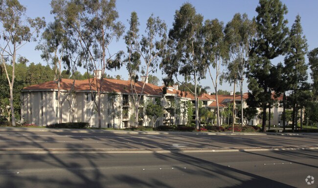 Primary Photo - Palacio Senior Apartments