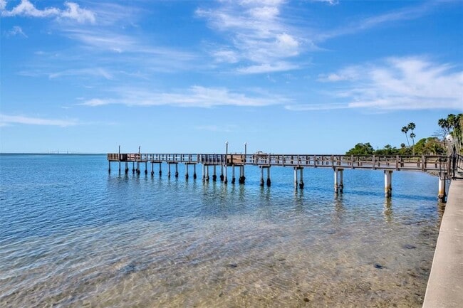 Building Photo - 650 Pinellas Point Dr S