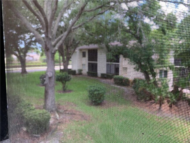 Building Photo - 208 Palmetto Ct