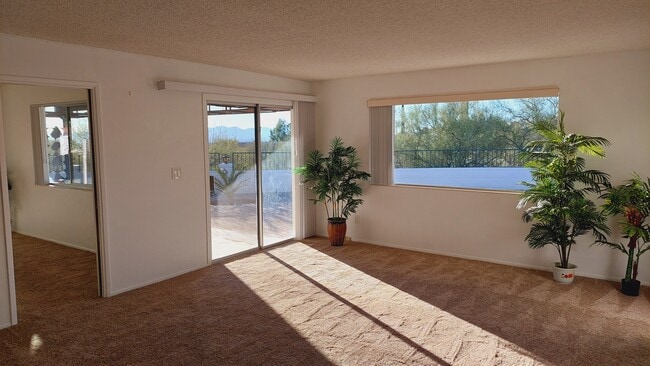 Building Photo - 5161 E Camino Bosque