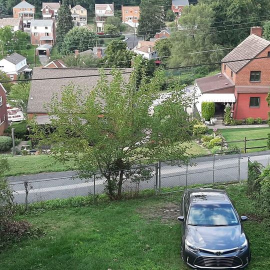 Fenced yard - 106 Koegler Ave