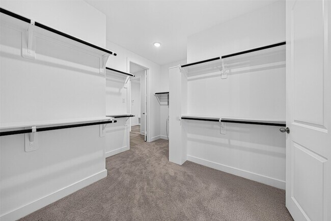Building Photo - 2803 Sweet Honey Ln