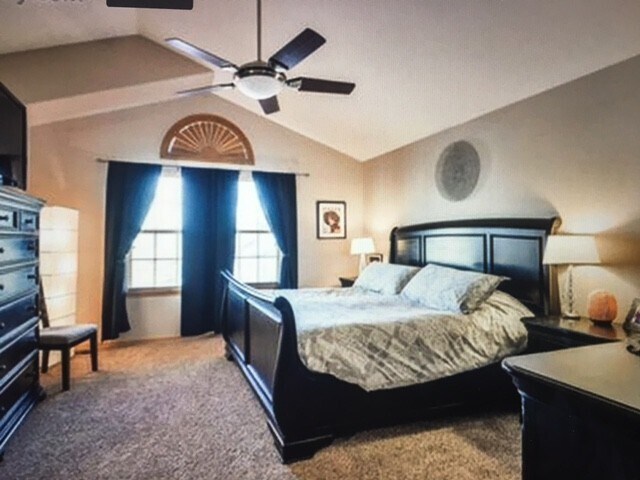 Building Photo - Beautiful 4 bed High End home in West Fort Collins