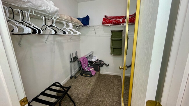 Walk-in Closet - 30 True Way Ln