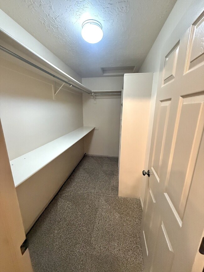Building Photo - 1569 Tamarisk Dr