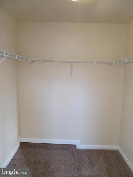 Building Photo - 3700 Bedford Dr