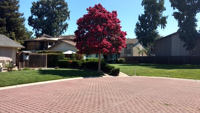 Entrance to court - 3788 Bertini Ct