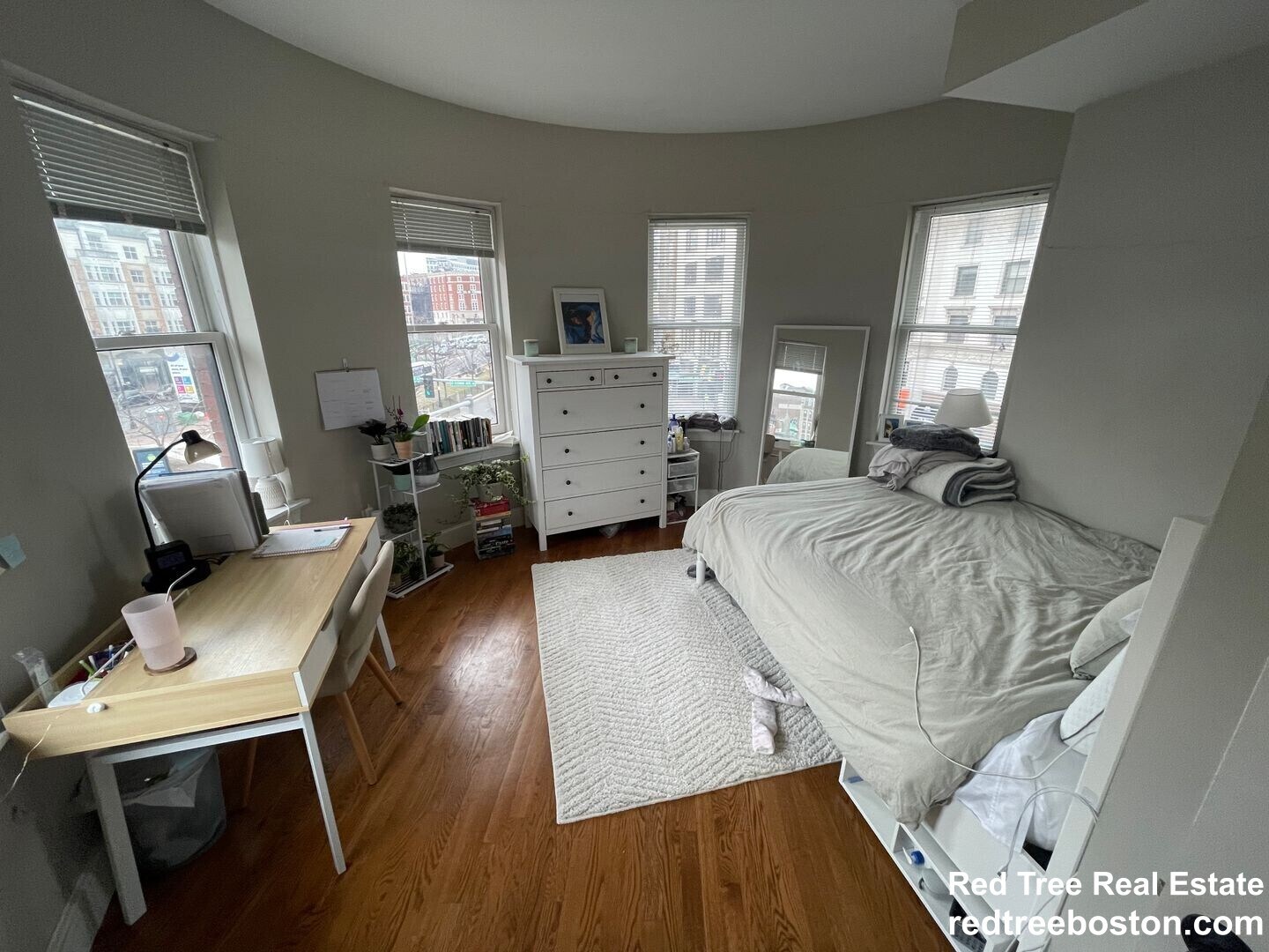 Building Photo - 491 Commonwealth Ave