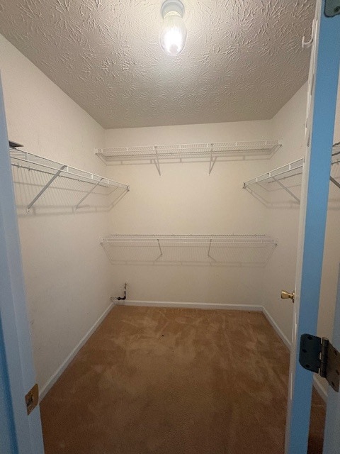 Building Photo - 95 Saddlebrook Ct