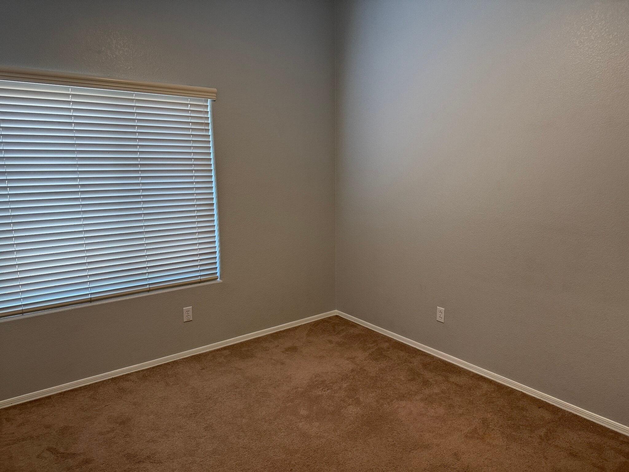 Building Photo - 4629 E Lavender Ln