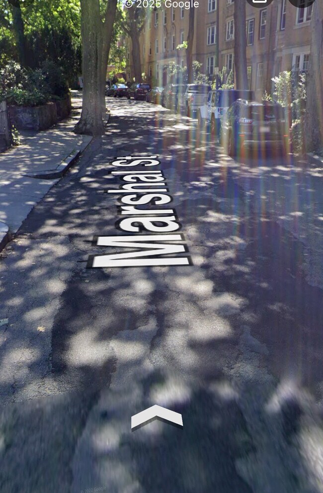 Building Photo - 66 Marshal St