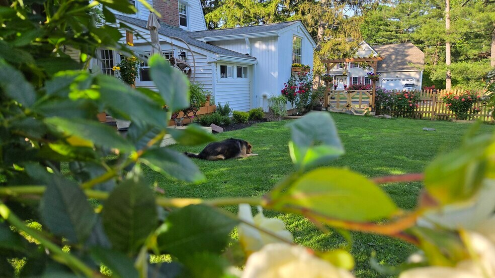 Fenced in Backyard (for your enjoyment) - 557 Park Rd