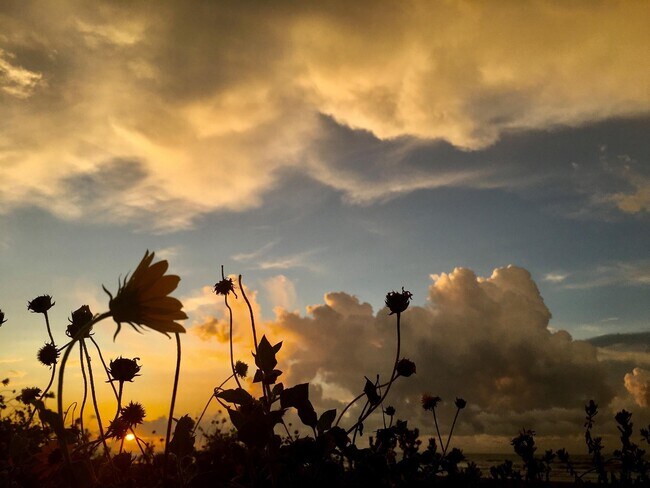 Building Photo - 1011 9th St