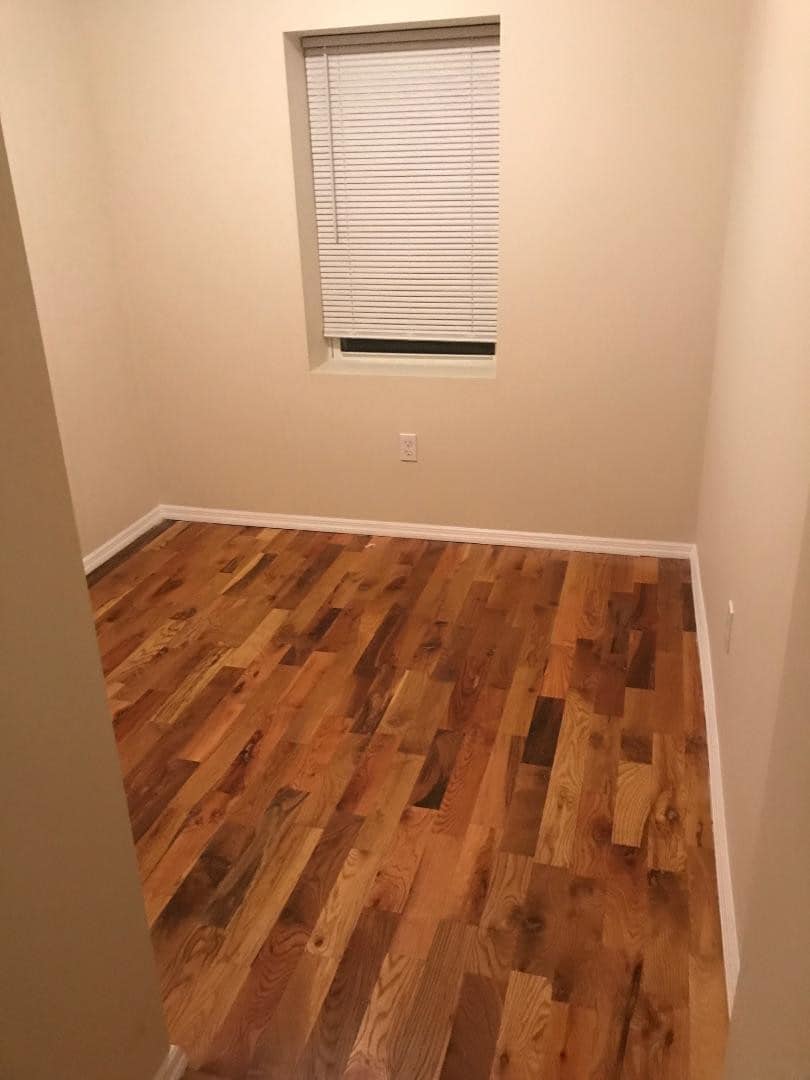 allnew - 14 Lower Henry St