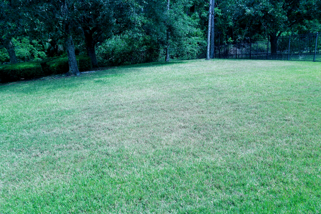 Building Photo - 7907 Hampton Lake Dr