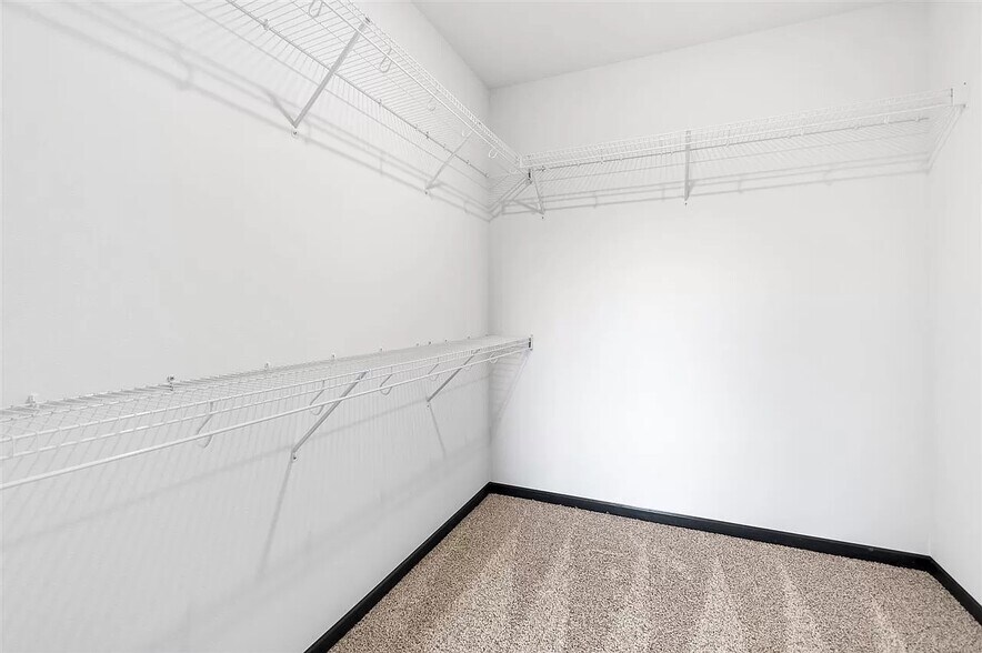 Building Photo - 2871 Spring Rose Cir