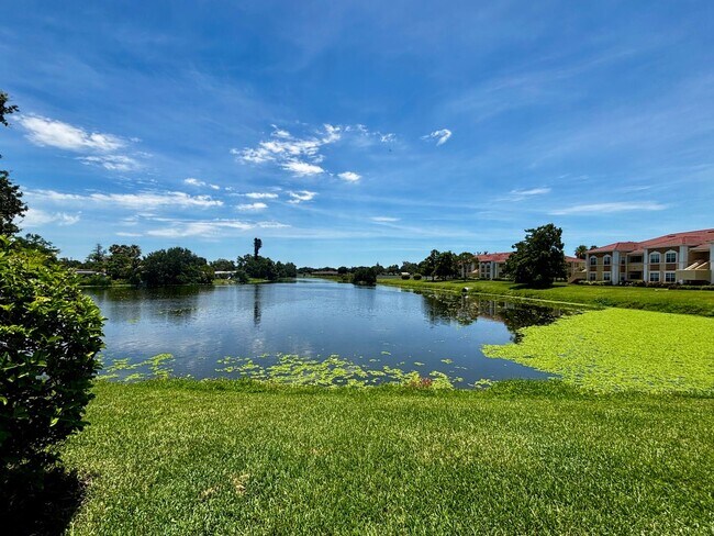 Building Photo - 3/2 unit with beautiful water view becoming available July 1st for an annual lease
