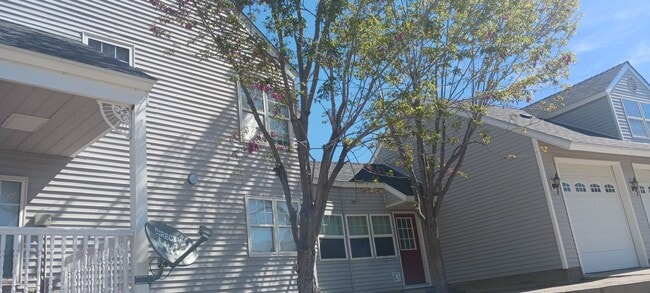 Building Photo - Spacious Home by Carson River