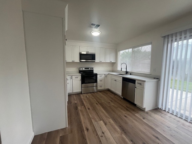 Building Photo - 1338 Alfa Romeo Ct